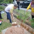 gambar 4 19